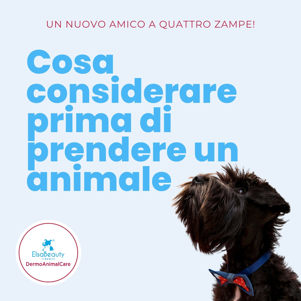 UN NUOVO AMICO A 4 ZAMPE: UNA SCELTA CONSAPEVOLE