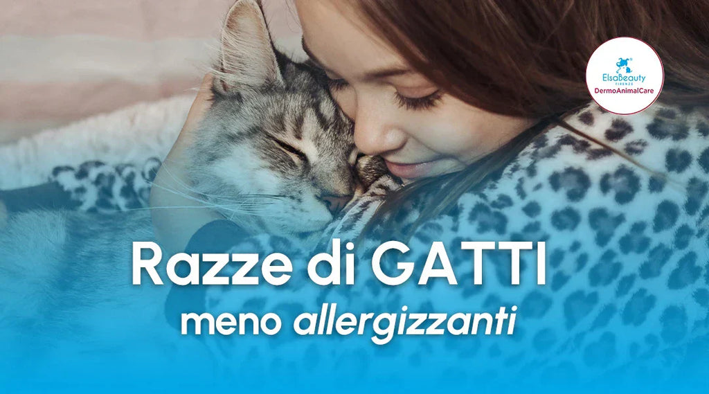 Razze di gatti meno allergizzanti