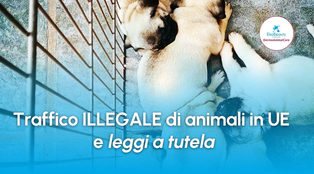 Traffico illegale di animali in UE e leggi a tutela