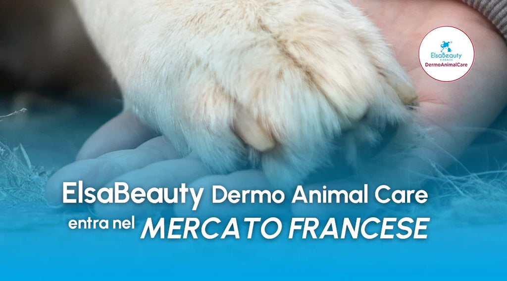 ElsaBeauty Dermo Animal Care entra nel mercato francese