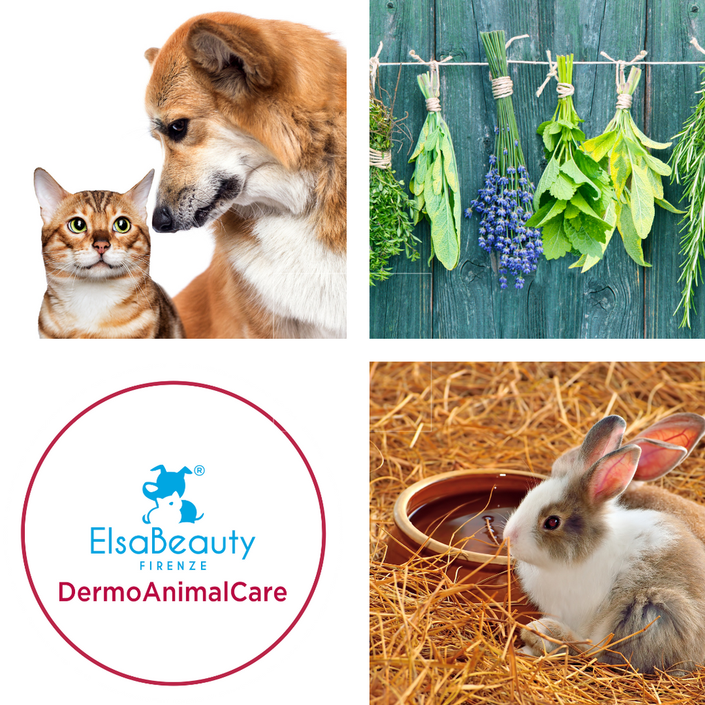 INCI NELLA DERMOCOSMESI PER ANIMALI