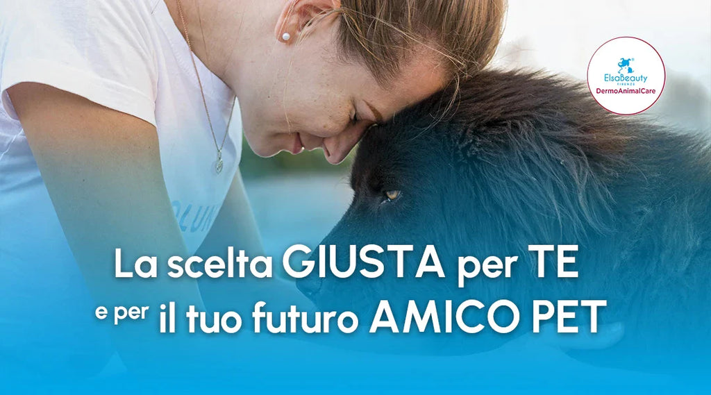 Adottare un cane adulto: cosa sapere
