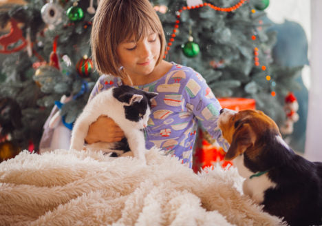 Natale con cane e gatto in totale relax