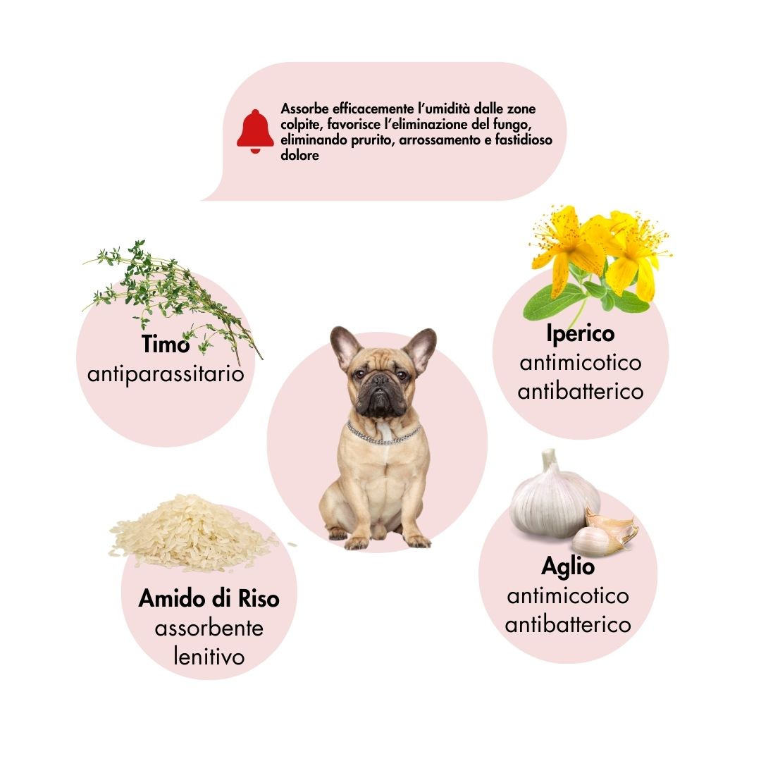 MALAPOLV PETS: Antimicotico per Cani, Gatti e tutti i tipi di animali