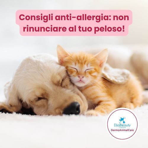 LE ALLERGIE DI NOI UMANI A FIDO E MICIO