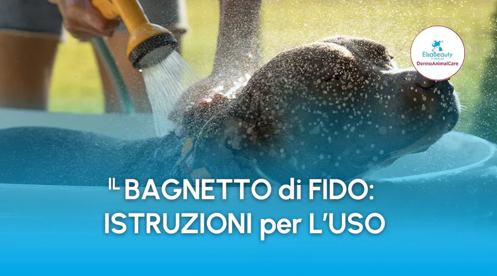 Il bagnetto di Fido: istruzioni per l'uso