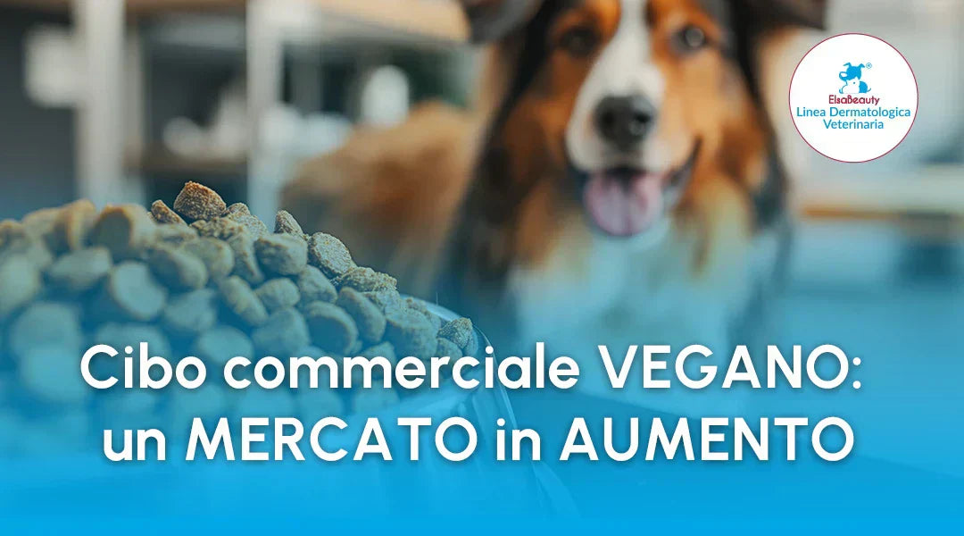 Cibo vegano: scopri se è garantisce alimentazione completa per il cane - ElsaBeauty