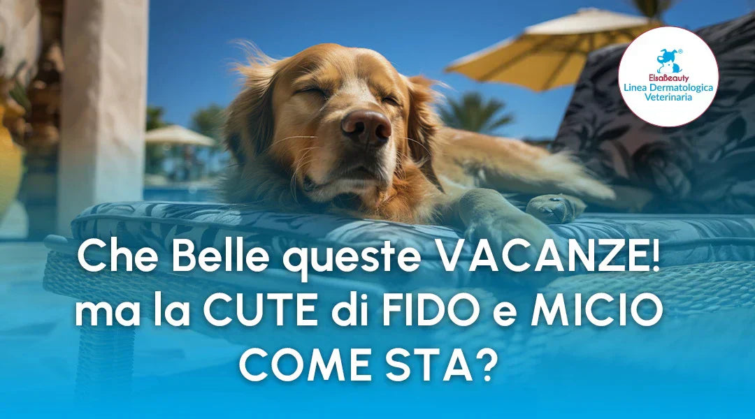 Salute della cute del cane dopo una vacanza - ElsaBeauty