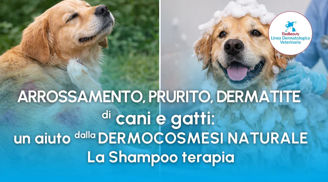 Arrossamento, prurito, dermatite di cani e gatti: un aiuto dalla Dermocosmesi Naturale – La Shampoo terapia