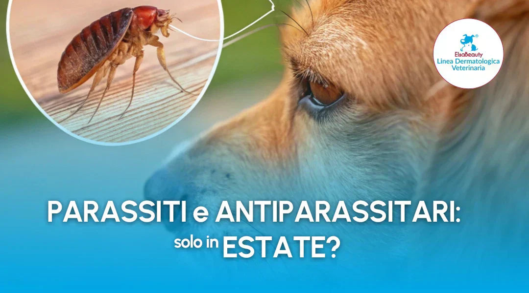 Parassiti e antiparassitari: quando e come usarli - ElsaBeauty