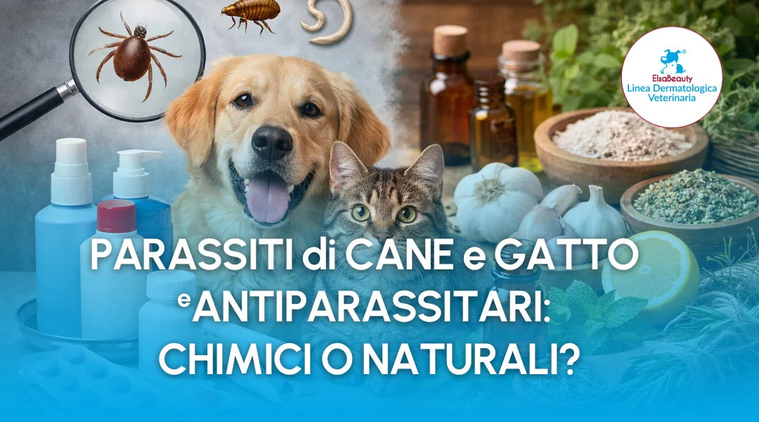 Parassiti di cane e gatto e antiparassitari: chimici o naturali?