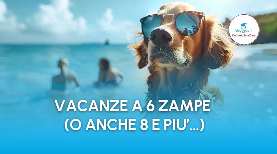 Consigli per vacanza con cane o gatto - ElsaBeauty