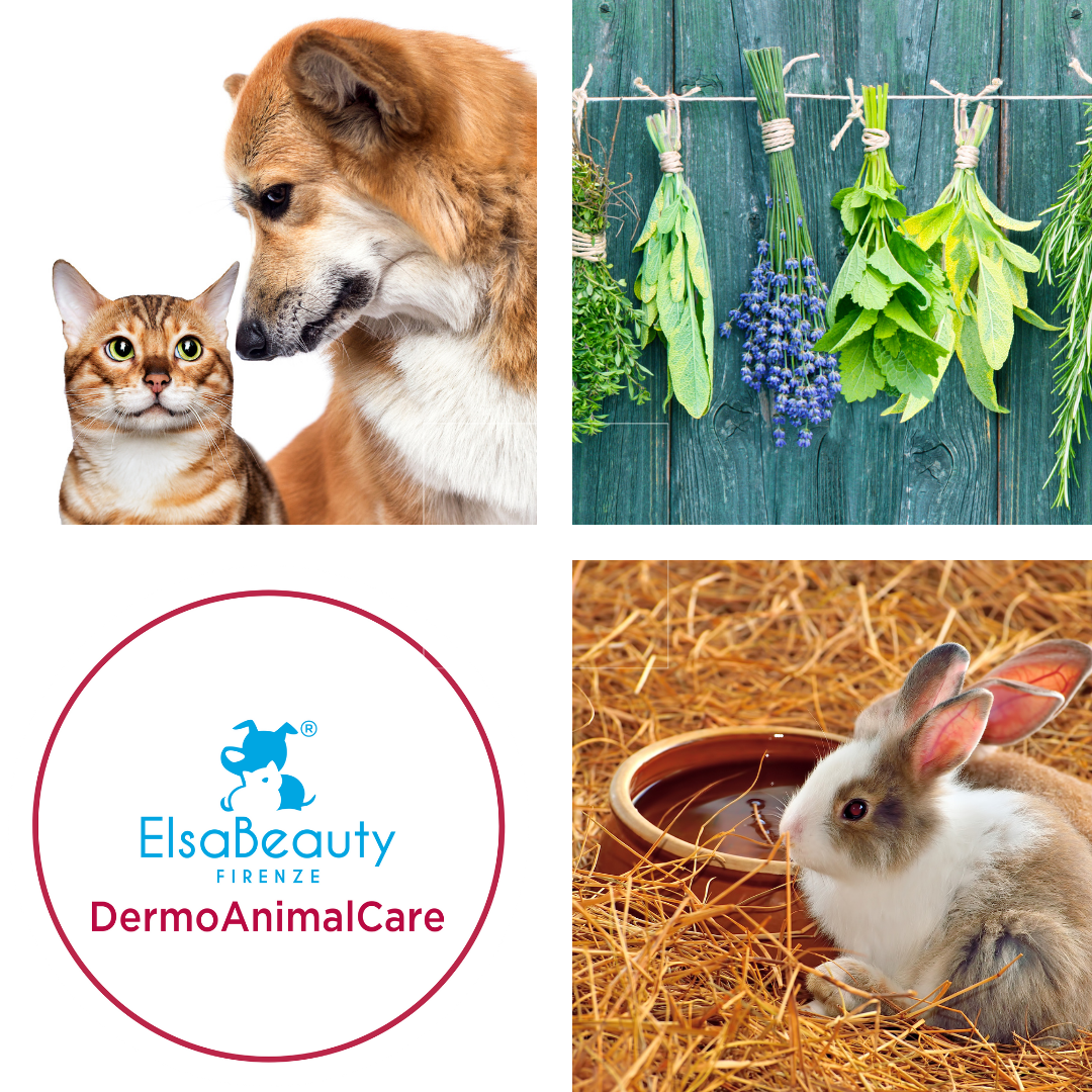 INCI NELLA DERMOCOSMESI PER ANIMALI