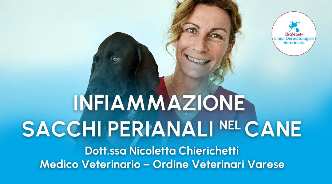 Sacchi perianali cane infiammati - ElsaBeauty