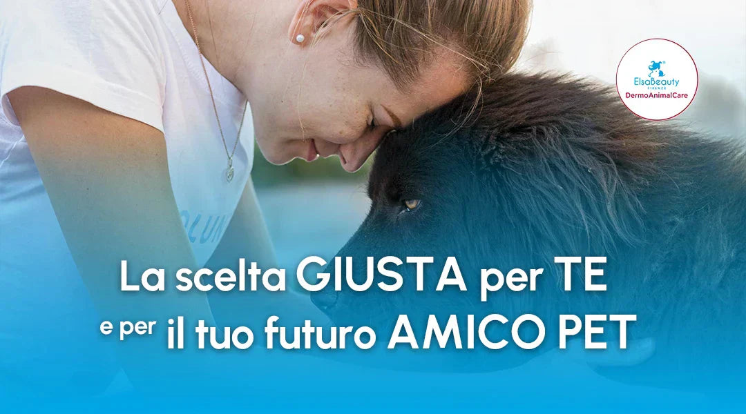 Adottare un cane adulto: cosa sapere