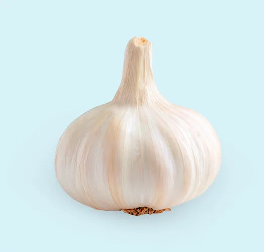 Aglio