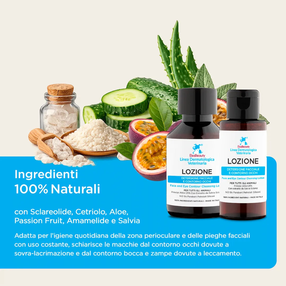 Ingredienti naturali della lozione detergente per cane con aloe, cetriolo e amamelide ElsaBeauty