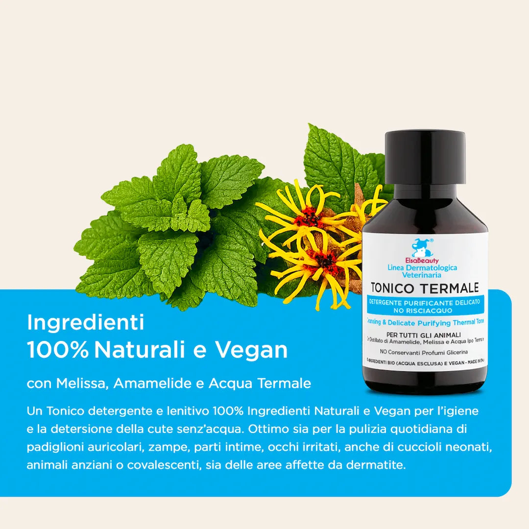Ingredienti naturali del tonico termale con melissa e amamelide per cane e gatto ElsaBeauty