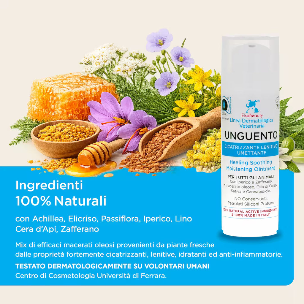 Ingredienti naturali dell'Unguento Cicatrizzante con CBD, Iperico, Achillea ed Elicriso