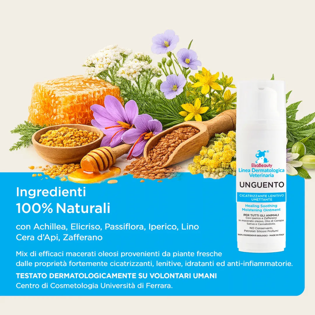 Ingredienti naturali dell’unguento cicatrizzante con CBD e olio di cannabis sativa ElsaBeauty
