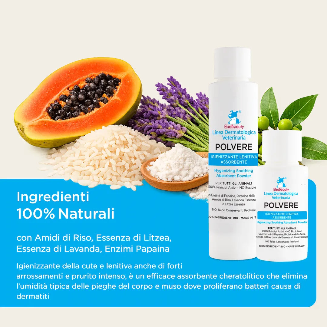 Ingredienti naturali della polvere assorbente con amido di riso e lavanda ElsaBeauty