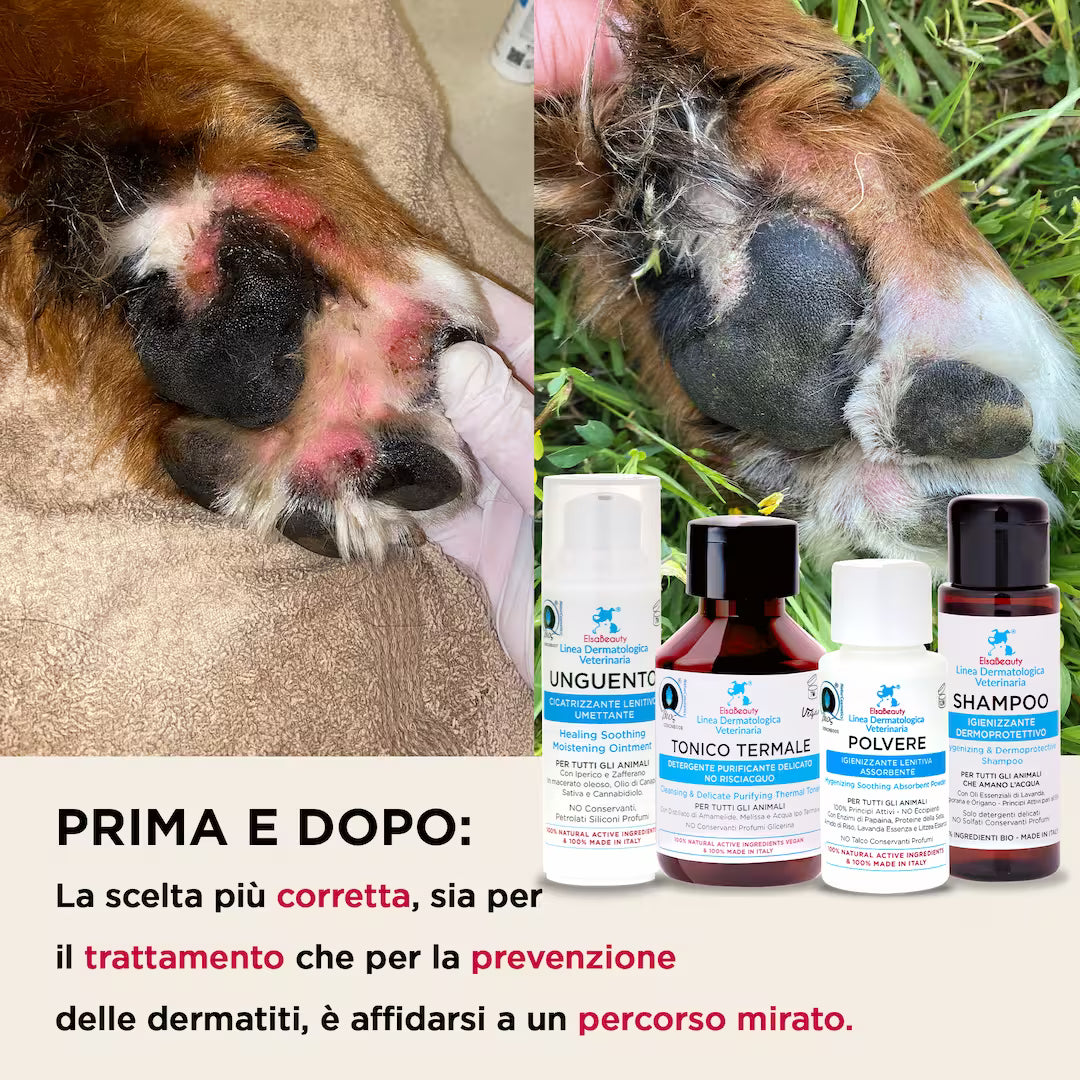 Risultati prima e dopo del KIT Dermatite per cane e gatto con riduzione di prurito e rossori