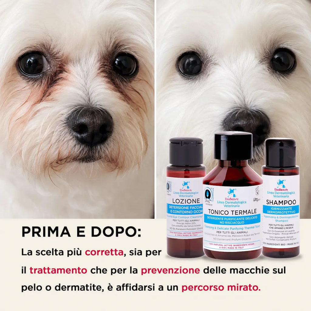 Prima e dopo utilizzo del KIT igiene quotidiana per mantenere pelle e pelo sani nel cane e gatto