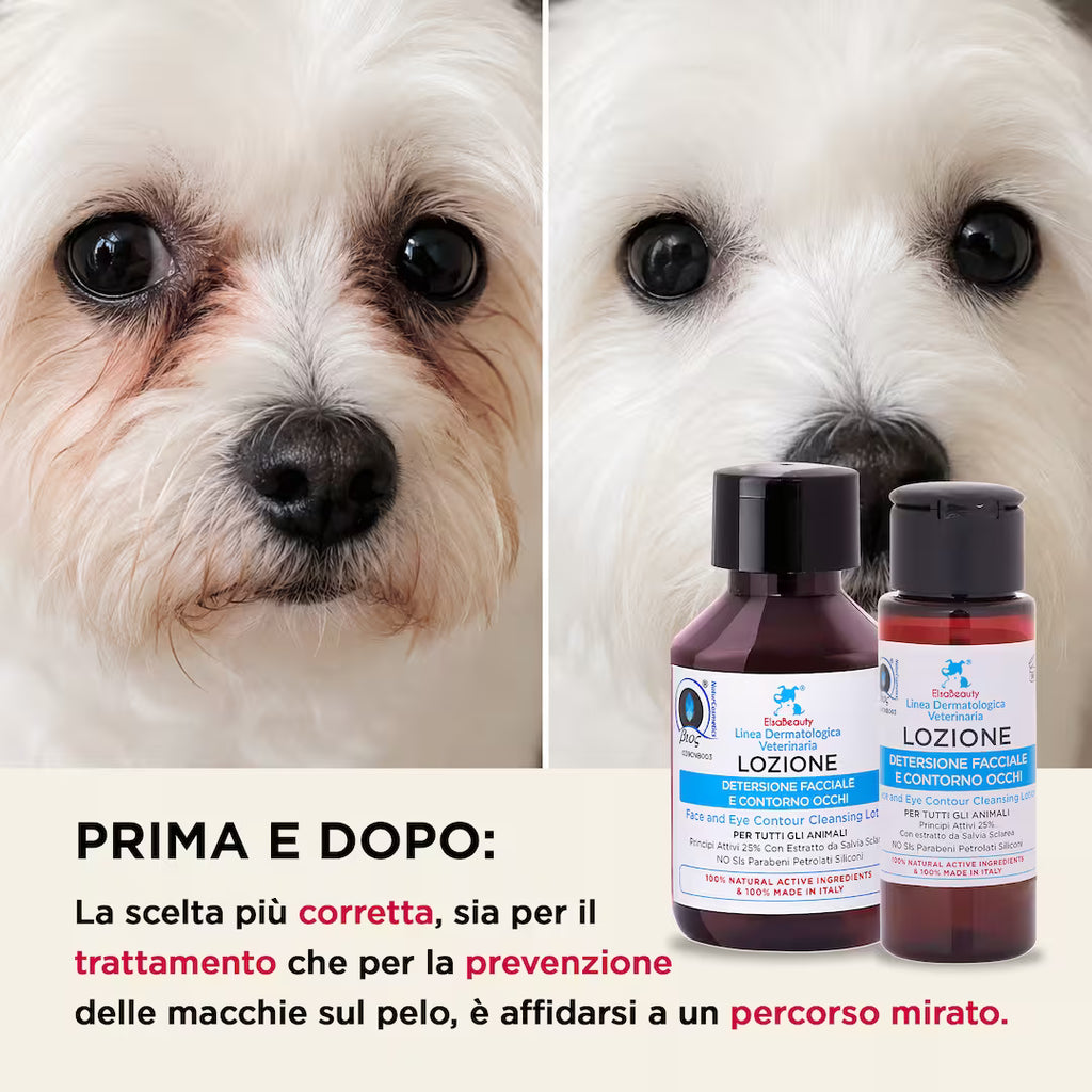 Prima e dopo utilizzo della Lozione Detergente Facciale con riduzione delle macchie da lacrimazione nel cane