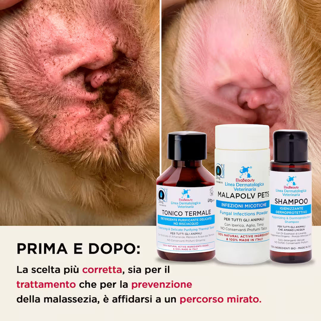 Risultati prima e dopo del KIT Malassezia Corpo per cane e gatto con riduzione di prurito e arrossamenti