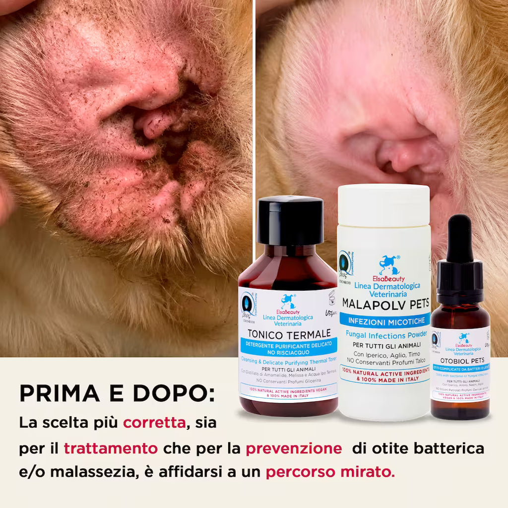 Risultati prima e dopo del KIT Otite e Malassezia Orecchie per cane e gatto con riduzione di prurito e cattivo odore