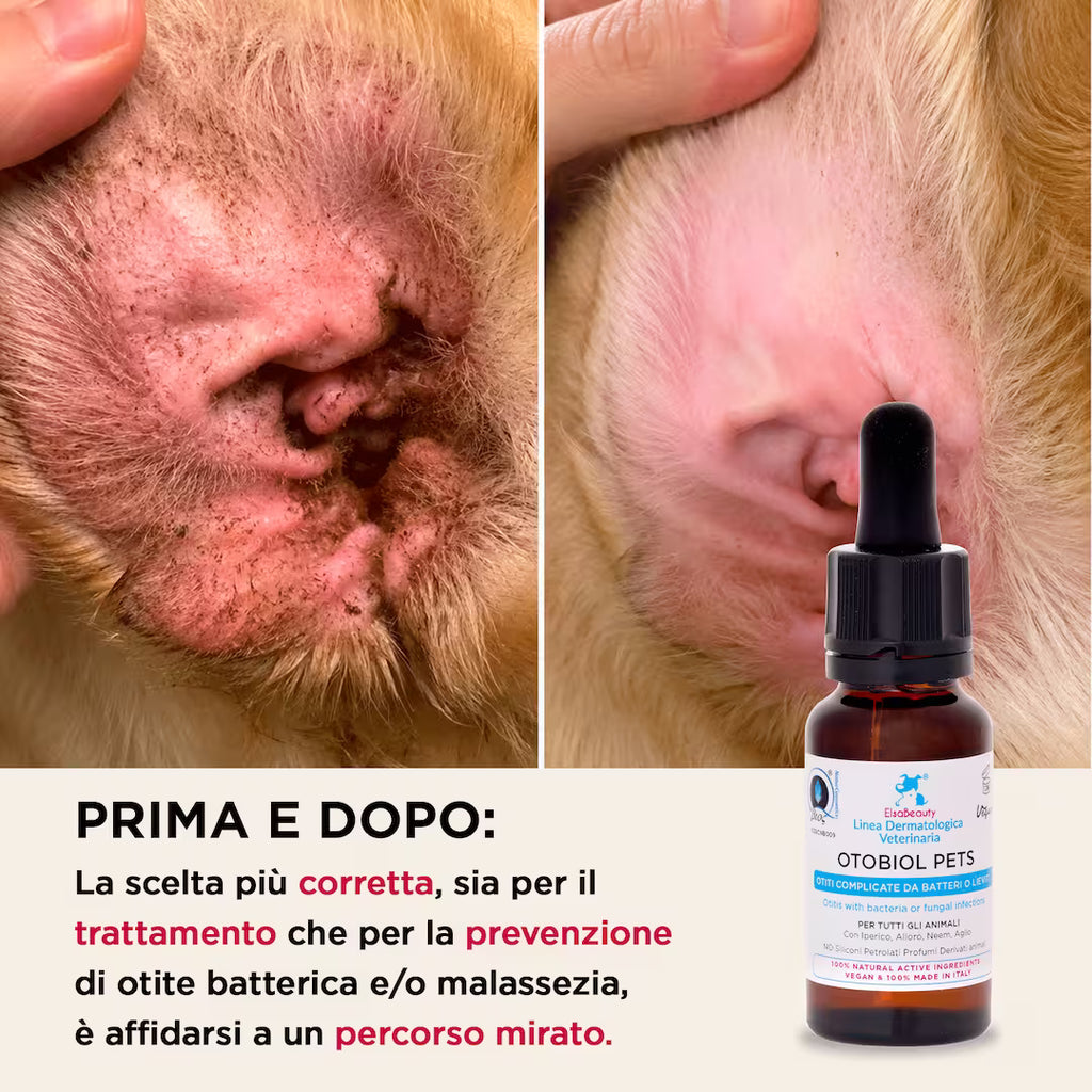Prima e dopo utilizzo di Otobiol Pets per otite e irritazioni delle orecchie nel cane