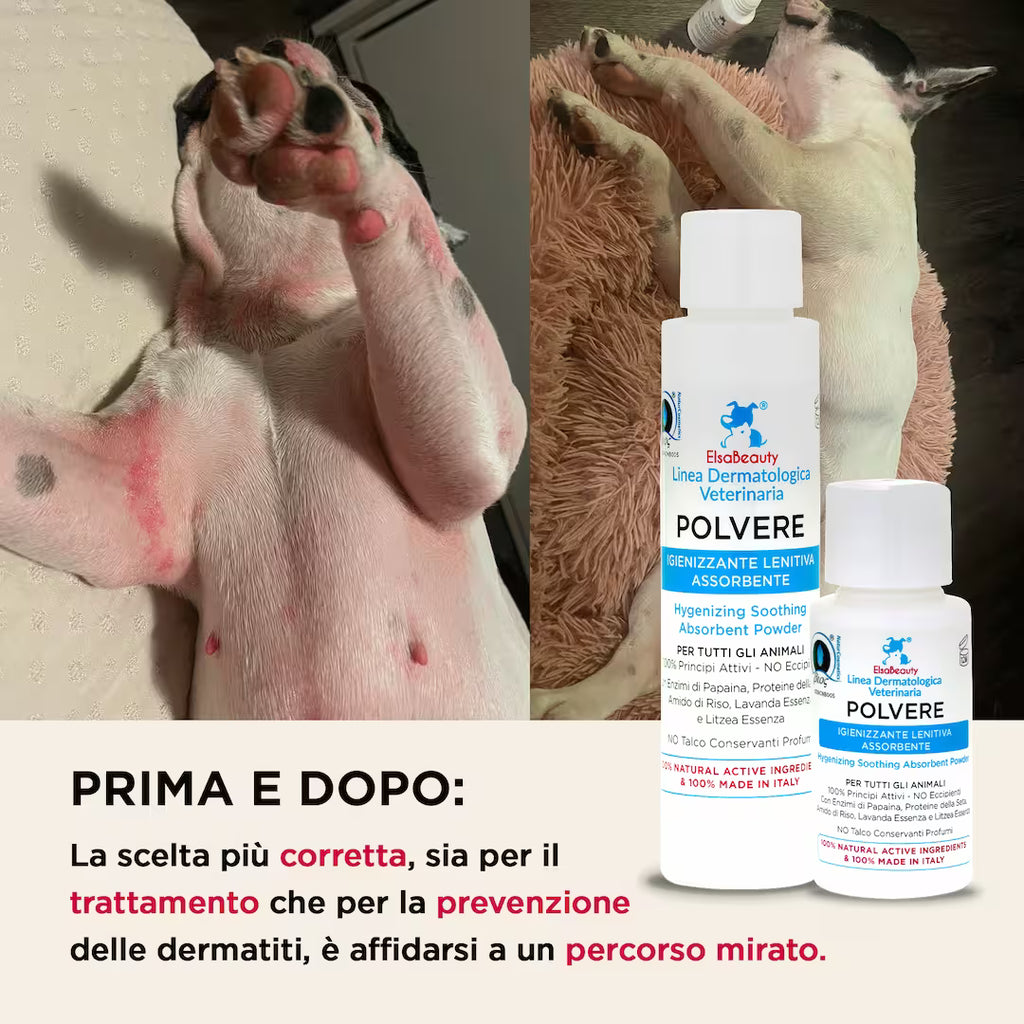 Prima e dopo utilizzo della Polvere Igienizzante Lenitiva con riduzione di prurito e arrossamenti nel cane