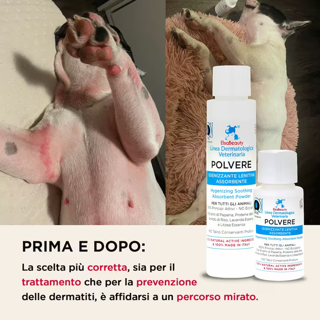 Prima e dopo utilizzo della Polvere Igienizzante Lenitiva con riduzione di prurito e arrossamenti nel cane
