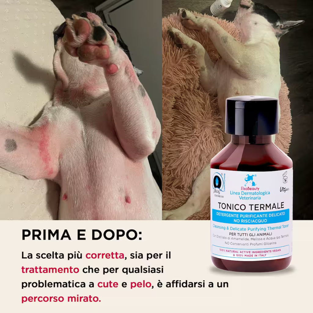 Prima e dopo utilizzo del Tonico Termale con cute più pulita, idratata e lenita nel cane