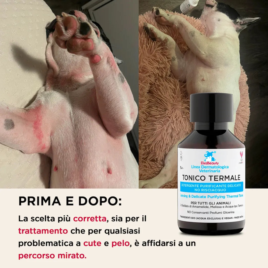Prima e dopo utilizzo del tonico termale per irritazioni e arrossamenti del cane ElsaBeauty