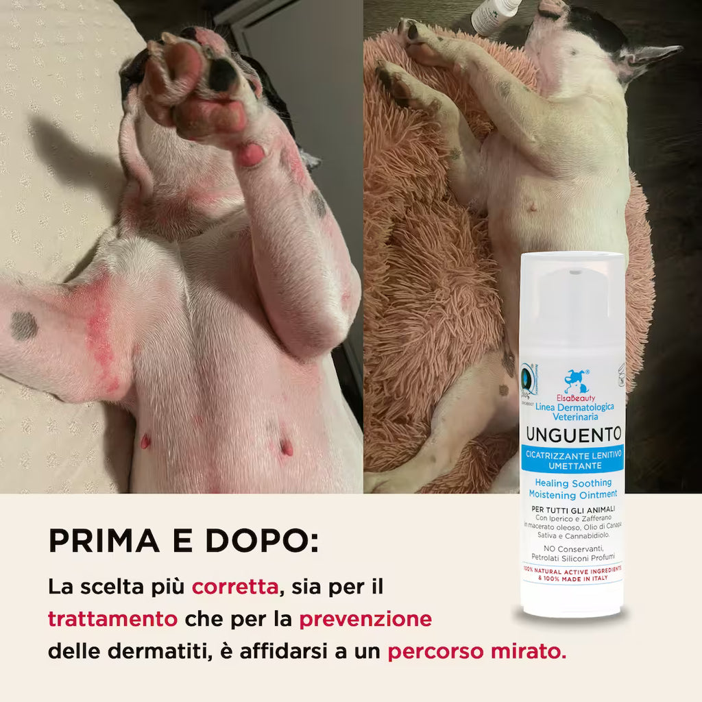Prima e dopo utilizzo dell'Unguento Cicatrizzante su pelle arrossata, screpolata e irritata nel cane