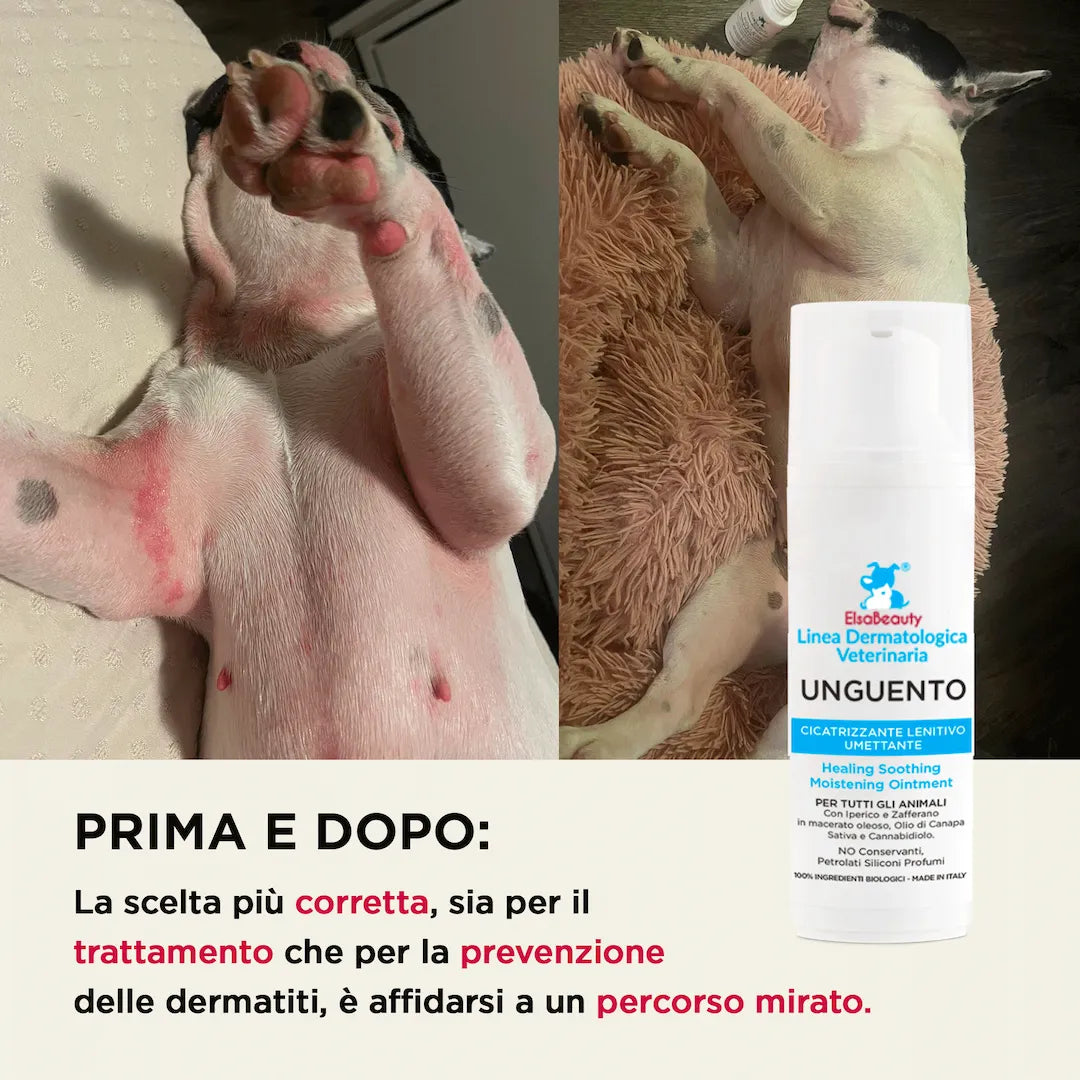 Prima e dopo utilizzo dell’unguento cicatrizzante per cute irritata del cane ElsaBeauty