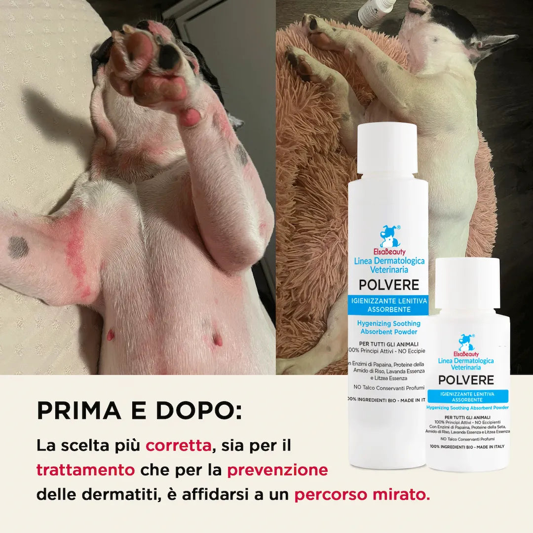 Prima e dopo utilizzo della polvere lenitiva per dermatite e irritazioni del cane ElsaBeauty