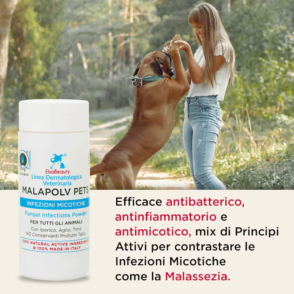 Applicazione di Malapolv Pets su zampe, orecchie e pieghe cutanee soggette a malassezia