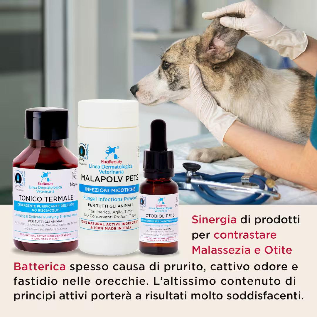 Applicazione del KIT Otite e Malassezia Orecchie ElsaBeauty per la pulizia e il benessere auricolare di cane e gatto