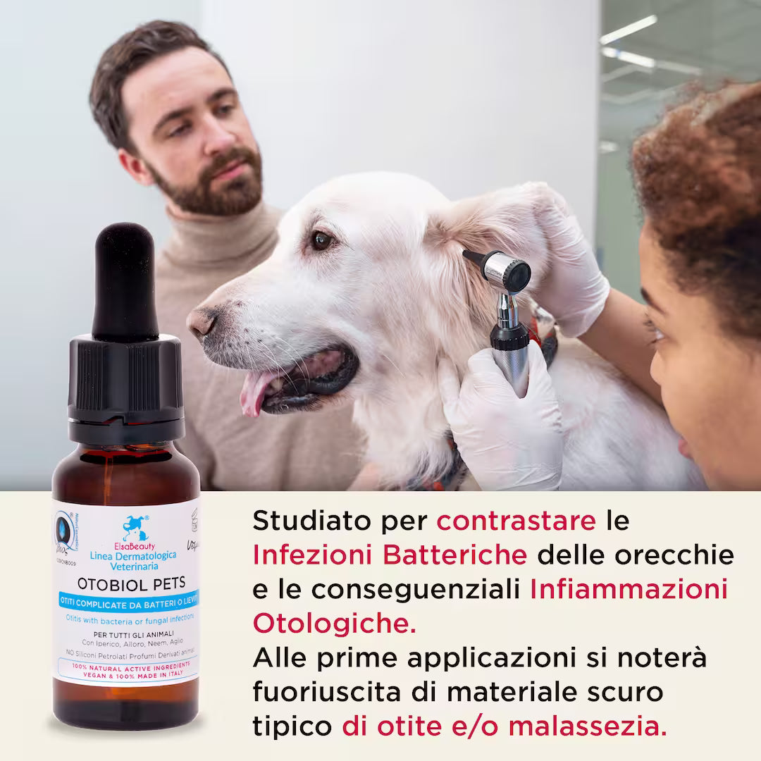 Applicazione di Otobiol Pets per la cura delle orecchie irritate di cane e gatto