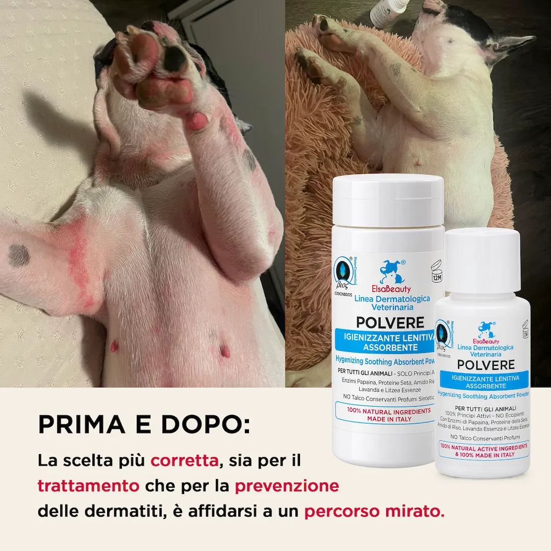 Prima e dopo utilizzo della Polvere Igienizzante Lenitiva con riduzione di prurito e arrossamenti nel cane