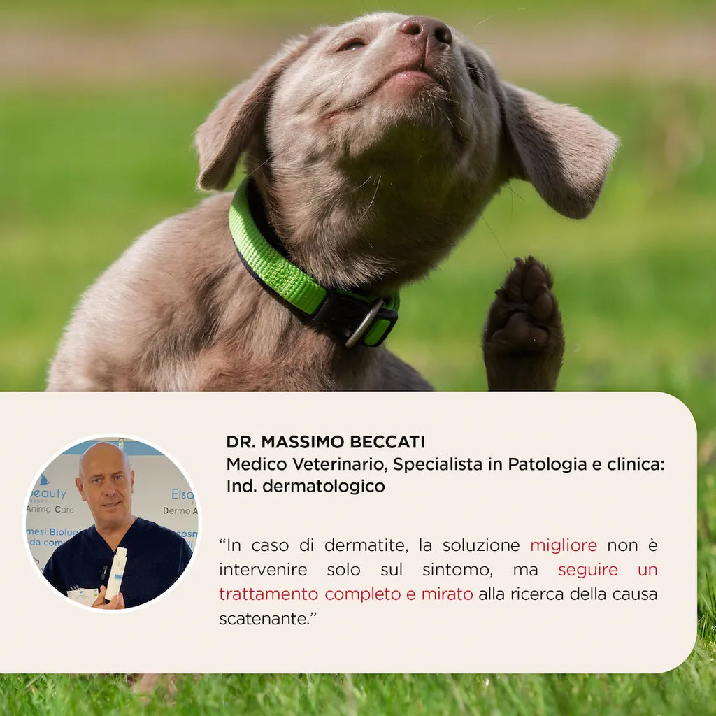 KIT MALASSEZIA CORPO Cane e Gatto