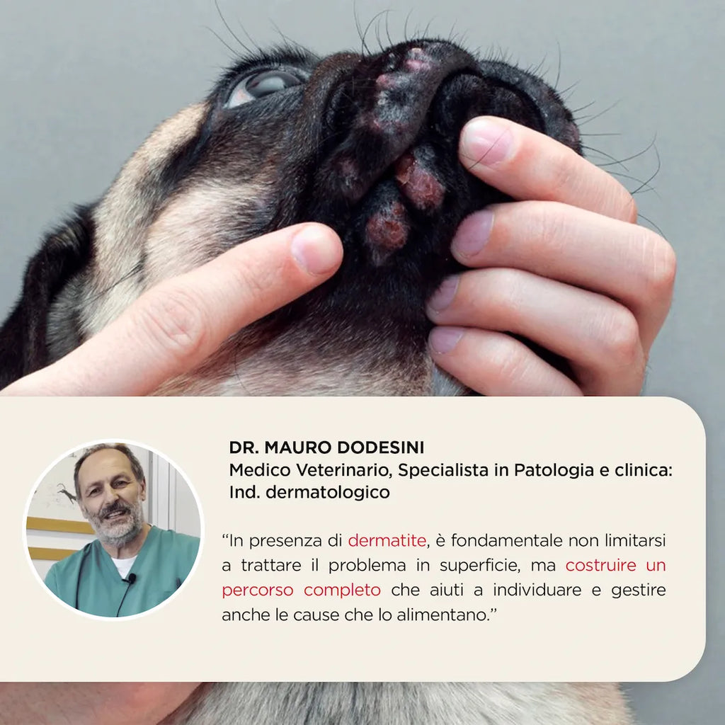 KIT MALASSEZIA CORPO Cane e Gatto