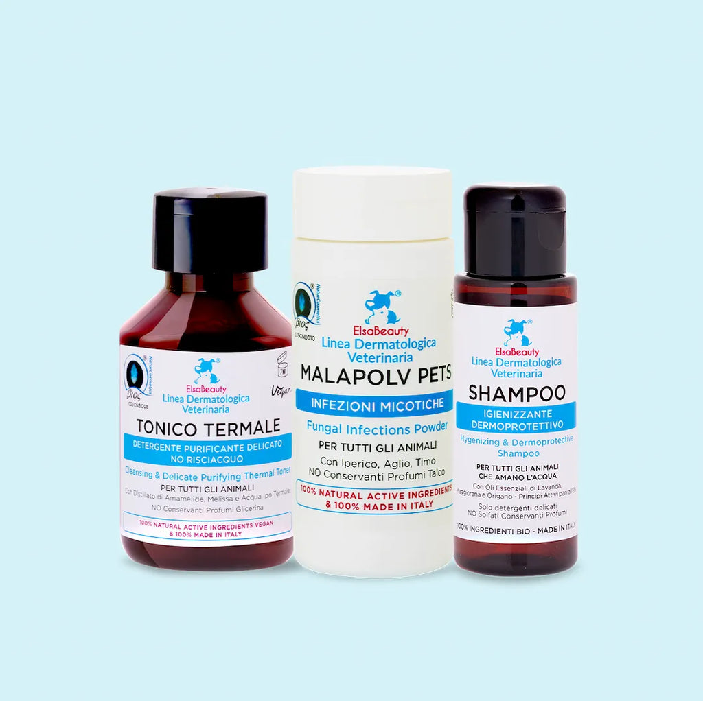 KIT MALASSEZIA CORPO CANE E GATTO - shampoo tonico malapolv - ElsaBeauty prodotti per cane e gatto