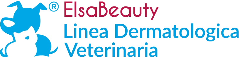 ElsaBeauty