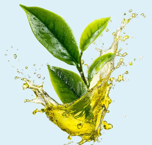 Olio di neem