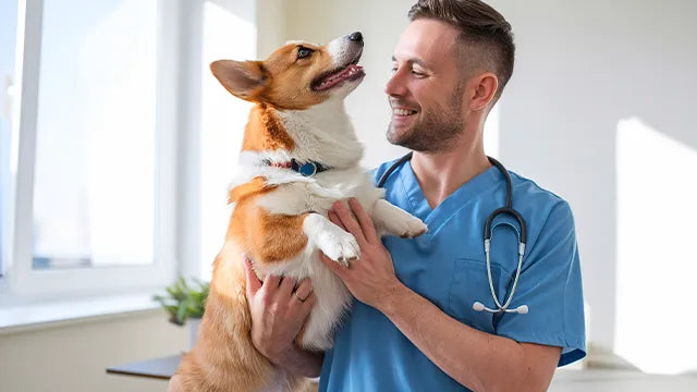 prodotti dermatologici per cane e gatto sviluppati con medici veterinari