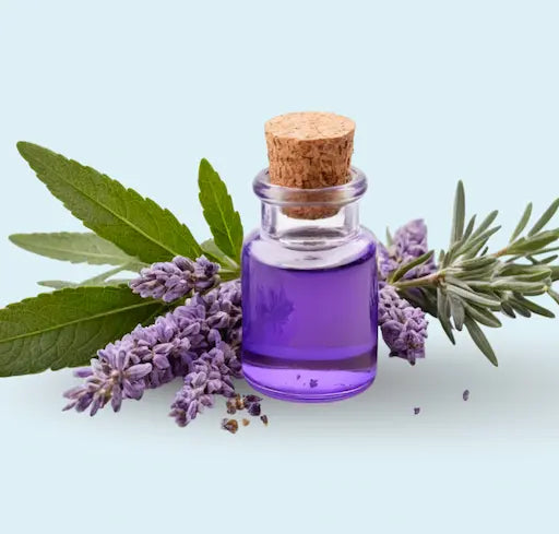 Lavanda