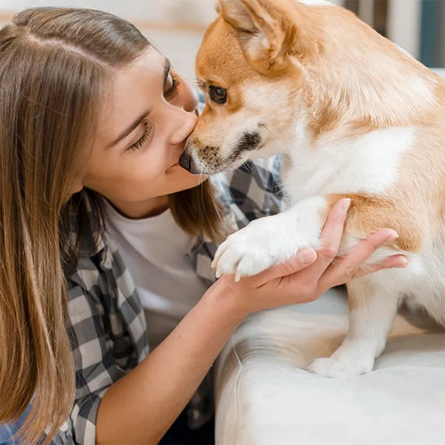 prodotti dermatologici sicuri e naturali per cane e gatto nel rispetto dell’animale